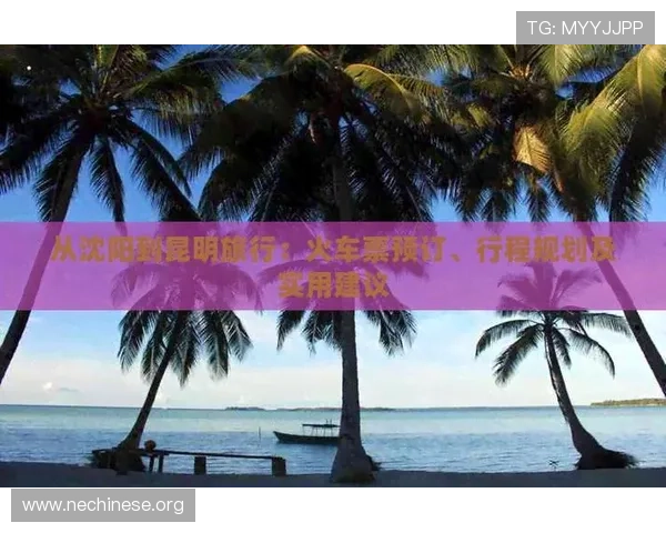 大发娱乐网站登录安全措施解析,保护个人信息的实用建议