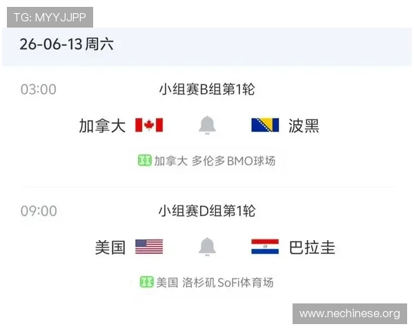 加拿大VS波黑世界杯比赛门票价格变化趋势及购票建议，助你合理安排观赛预算
