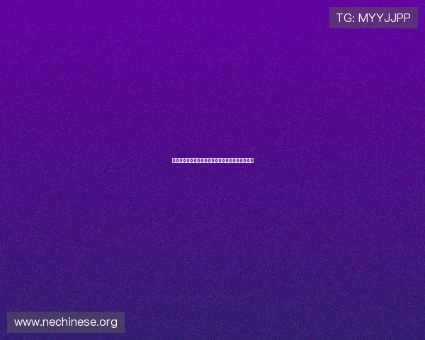 不同类型扑克游戏的特色与玩法介绍帮助你轻松入门